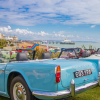 Magnificent Motors