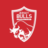 Jersey Bulls vs Farnham Town