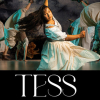 Tess by Ockham's Razor