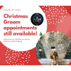 Christmas Groom Appointments at House of Paws