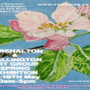 Carshalton and Wallington Spring Art Exhibition