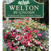 Welton Music and Arts Festival