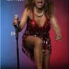 TINA TURNER TRIBUTE & OVER 35S DISCO IN ESSEX - SATURDAY 26 OCTOBER