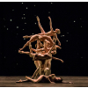 Royal Ballet: Ballet to Broadway Broadcast live via satellite from the Royal Ballet & Opera