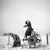 The Lighter Side Exhibition