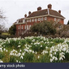 Snowdrops at Benington Lordship