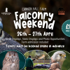 Falconry Weekend at Cannon Hall Farm