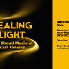 Healing Light - The Choral Music of Karl Jenkins - vOx Chamber Choir