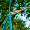 Wanderwild Wakehurst