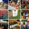 Chilli fest
