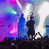 Peatbog Faeries