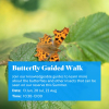 Butterfly Guided Walk