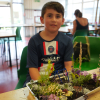 Design and Make a Miniature Garden