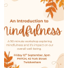 An Introduction to Mindfulness