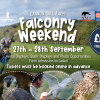 Falconry at Cannon Hall Farm