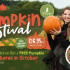 Pumpkin Festival at Cannon Hall Farm