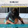 The Living Coast Undersea Experience at Cliffe Hall, Lewes