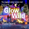 Glow Wild