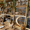 Fine Food & Craft Market
