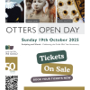 The Dacorum & Chiltern Potters Guild | Second Potters Open Day 2025 *50th Anniversary*