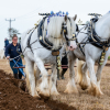 British National Ploughing Championships & Country Festival