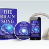 A Song on The Brain Song – The Melody That Speaks to Your Mind!