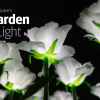 Hospiscare's Garden of Light