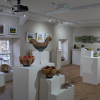 Members’ Studio Sale Exhibition