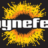 ShyneFest