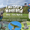 Falconry Weekend at Cannon Hall Farm