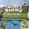 Falconry Weekend at Cannon Hall Farm