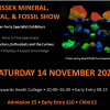 Sussex Mineral, Crystal & Fossil Show 