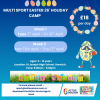 Multi Sport Easter Holiday Camp at Bolton Arena