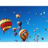 Telford Balloon Fiesta 2026 – A Spectacular Summer Weekend