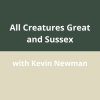 All Creatures Great & Sussex – A Family Talk on Animals from Sussex’s Past