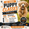 NEW Puppy Classes Are Here - The Empawrium! 🎉🐶