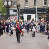 Stowmarket Carnival