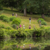 Heritage Trail Series: Summer