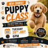 New Puppy Training Classes in Sutton Coldfield – Give Your Puppy the Best Start