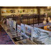 🌼Epsom & Ewell Art Group Summer Exhibition🌼 