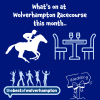 What’s On at Wolverhampton Racecourse This September 2026 | Racing, Events & Autumn Nights Out