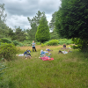 Forest Bathing 