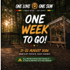 One Love / One Sun Festival