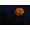 Halloween Half-Term at Shrewsbury Flaxmill Maltings