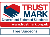 Government Endorsed Trust Mark
