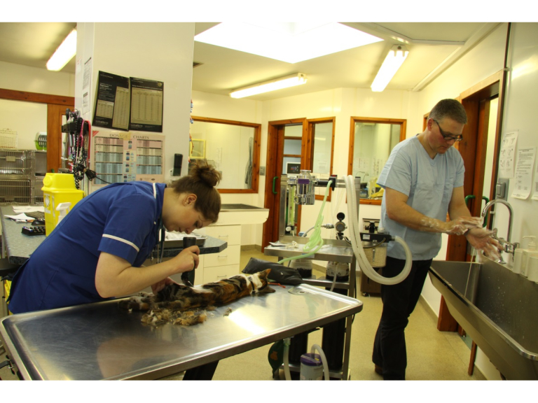 ConanVet The Highlands