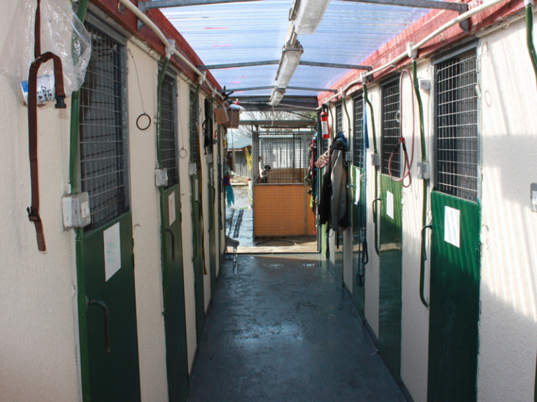 Kelsion Boarding Kennels and Cattery Cardigan and Teifi Valley