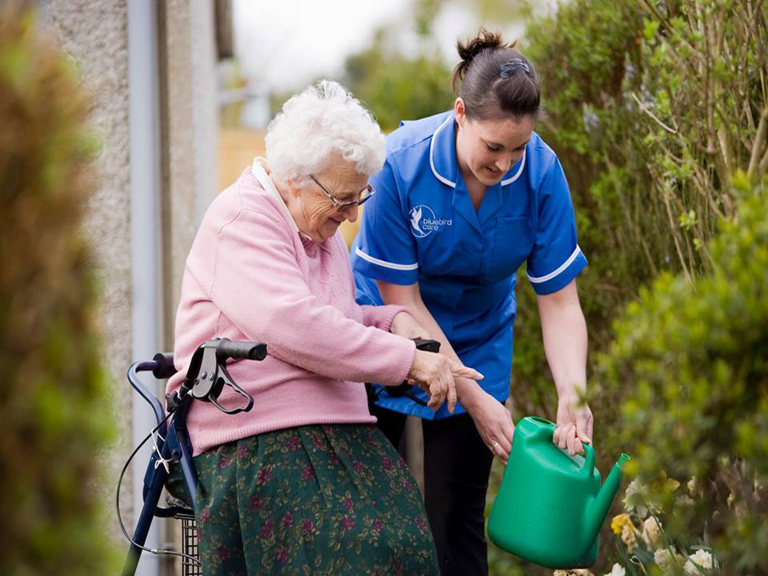 Bluebird Care (Taunton & Mid Devon) Home health care service