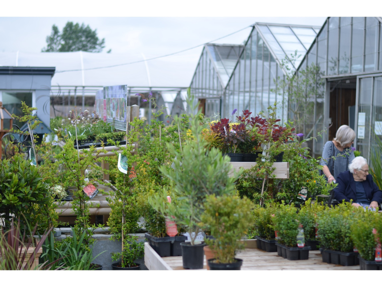 Langton Greenhouse and Garden Centre Market Harborough