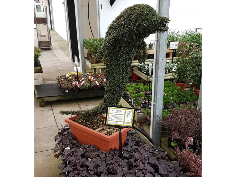 Newbank Garden Centre Bury